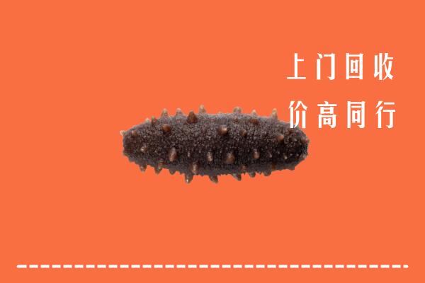 厦门回收海参