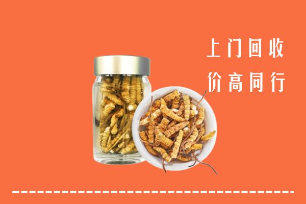 厦门回收冬虫夏草