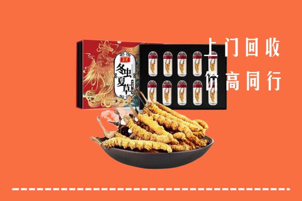 厦门回收虫草